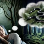 Snake Dreams and Anxiety: 5 Signs You Shouldn't Ignore snake dream meaning