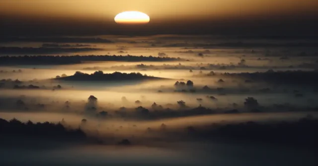 fever dream meaning slang