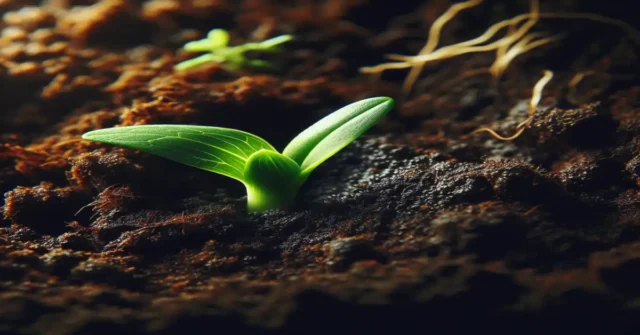 what does it mean when you dream about being pregnant